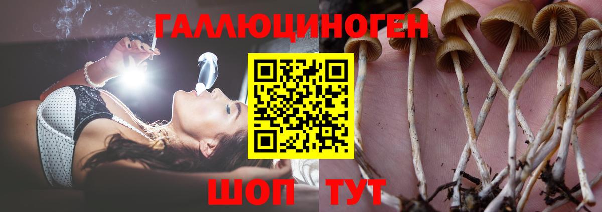 Ефремов  Псилоцибиновые грибы мицелий  Вход с VPN 